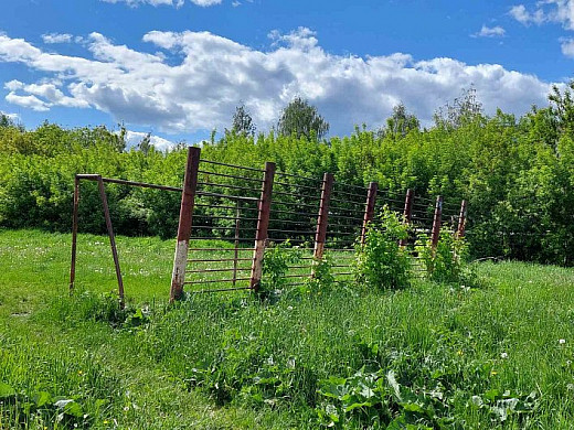 Кохомские власти требуют снести детскую площадку